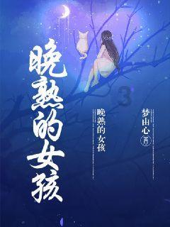 格斗战机