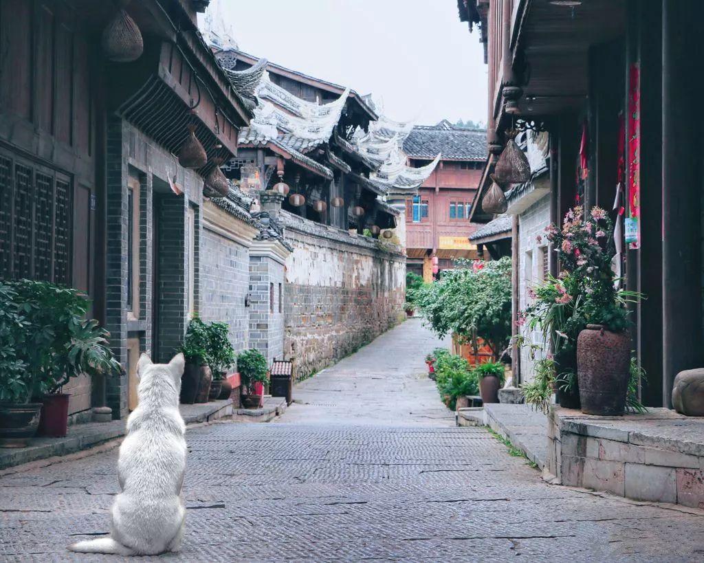 战锤：全面战争2